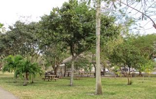 Preserve Park Picnic Area