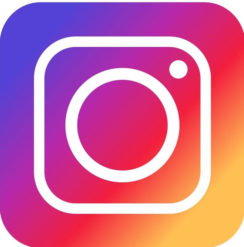 Insta Logo